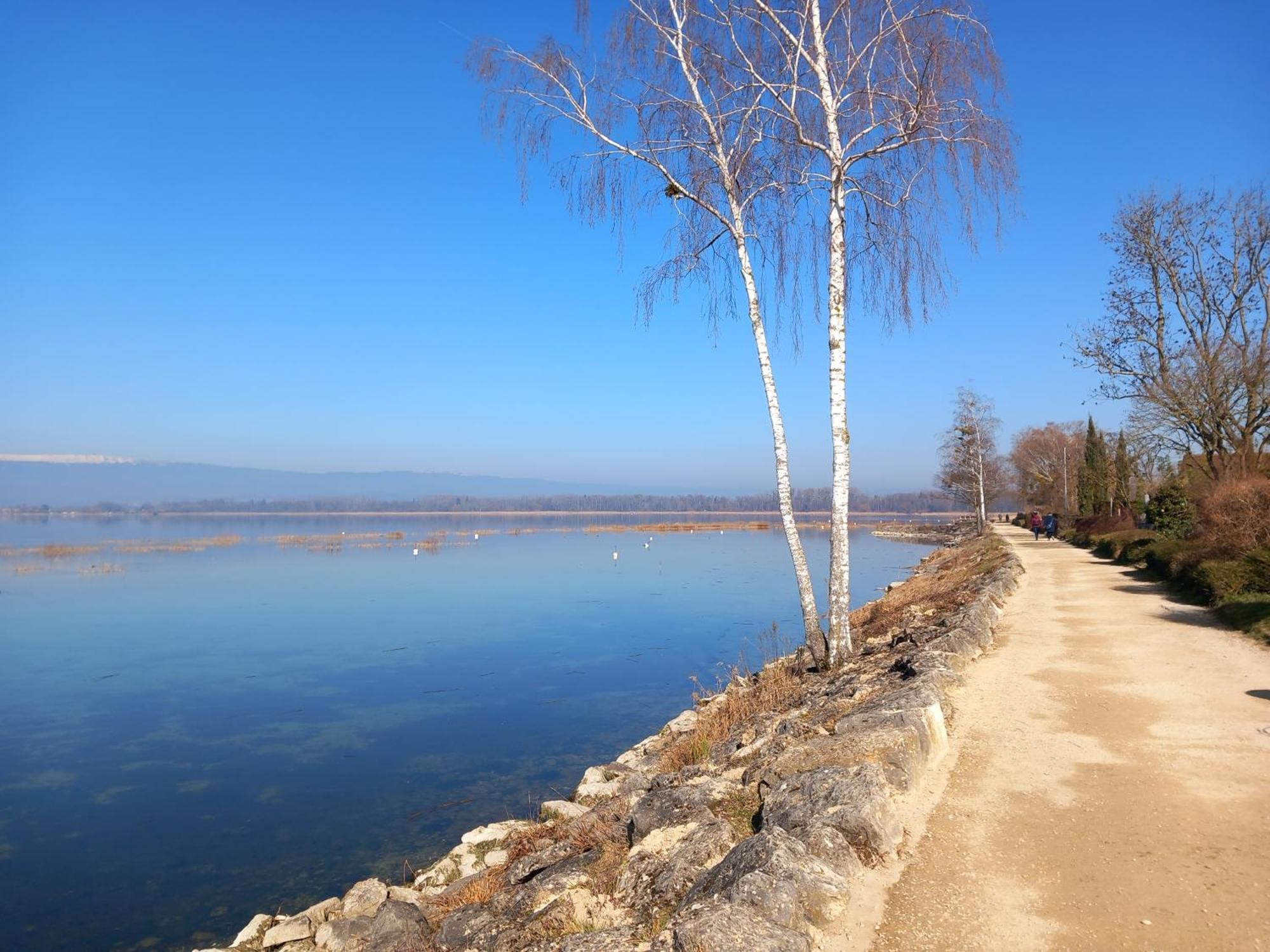 Gemuetliches Zimmer In Muntelier Nahe Am See Apartment Bagian luar foto
